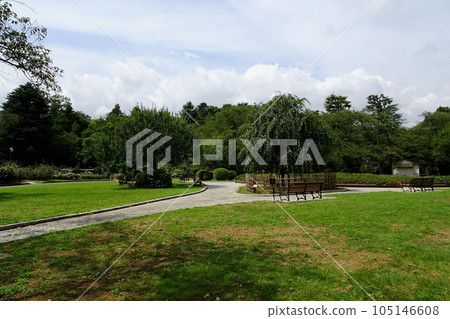 夏天的里美公園景色【河野台城遺址】千葉縣市川市8月 夏天的里美公園景色【河野台城遺址】千葉縣市川市8月 105146608