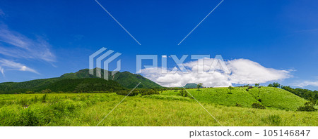 Kuju Kogen _ Aso Kuju National Park _ The grasslands have many precious plants due to long years of grazing and burning. 105146847
