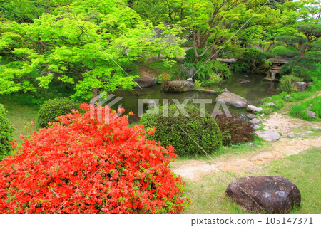 The fresh greenery of the Mohri Garden (Hofu City) 105147371