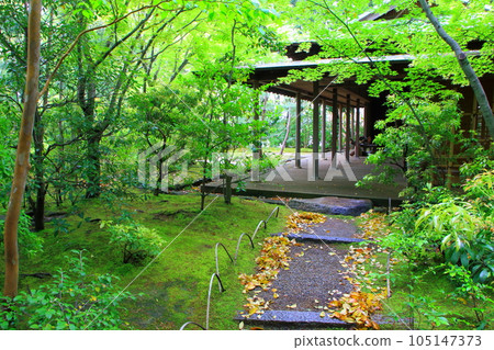 Fresh green Hoshoan (Hofu Tenmangu Shrine) 105147373