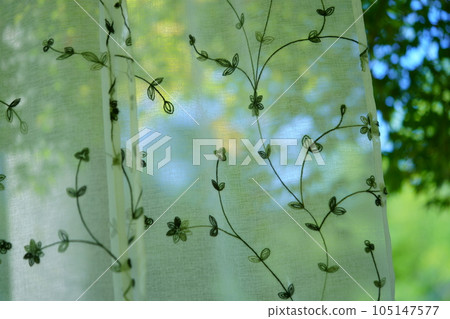 summer, the coolness of the garden behind the lace curtains 105147577