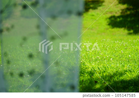 Lace curtains by the window overlooking the lawn garden Lace curtains by the window overlooking the lawn garden 105147585