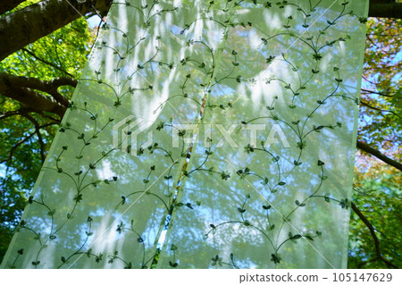 夏季門廊/Komorebi 透明蕾絲窗簾 105147629