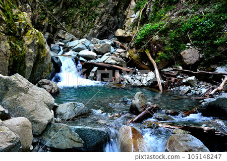 As soon as you step into Kanayama Valley from Hirogawara, it becomes a rough valley. As soon as you step into Kanayama Valley from Hirogawara, it becomes a rough valley. 105148247