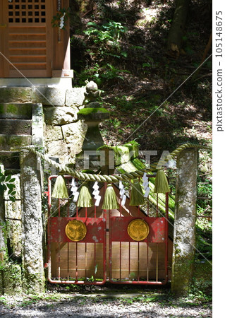 初夏的鬆平東照宮 鬆平之裡 初夏的鬆平東照宮 鬆平之裡 105148675