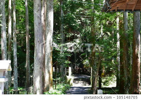 Matsudaira Toshogu Shrine in early summer Matsudaira no Sato 105148705