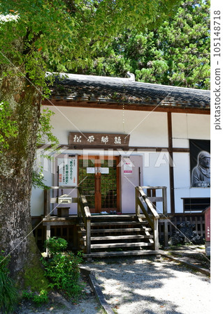 初夏的鬆平東照宮 鬆平之裡 初夏的鬆平東照宮 鬆平之裡 105148718