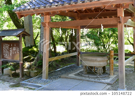 Matsudaira Toshogu Shrine in early summer Matsudaira no Sato 105148722