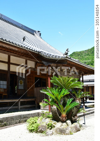 初夏的湖月院、鬆平之裡 105148854