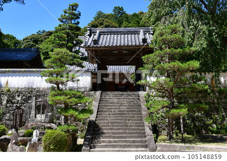 初夏的湖月院、鬆平之裡 105148859