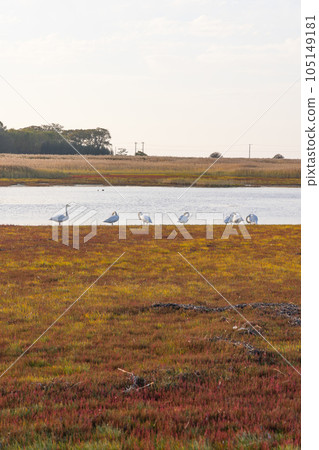 北海道佐呂間湖金普岬風景 北海道佐呂間湖金普岬風景 105149181