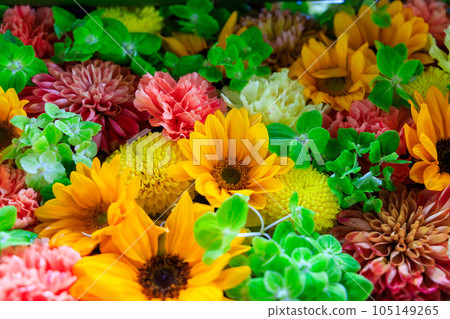 Tomioka Hachimangu Shrine Tomioka Hachimangu Shrine 105149265