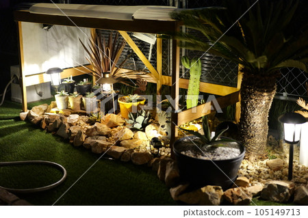 American house dry garden 105149713