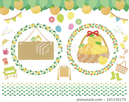 Cute pear picking, fruit picking, taste picking illustration set Cute pear picking, fruit picking, taste picking illustration set 105150179