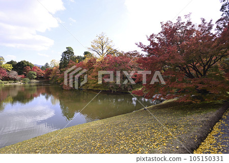 京都仙洞 皇居 北池 如院 皇居 秋葉 京都仙洞 皇居 北池 如院 皇居 秋葉 105150331