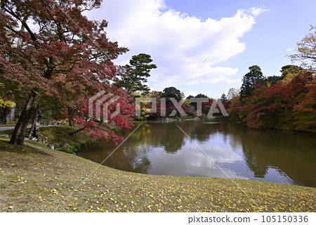 京都仙洞 皇居 北池 如院 皇居 秋葉 105150336