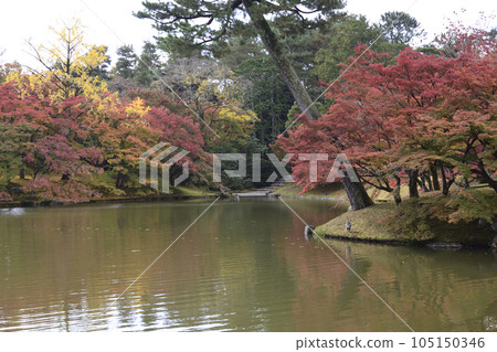 Kyoto Sento Imperial Palace North Pond Nyoin Imperial Palace Autumn Leaves 105150346