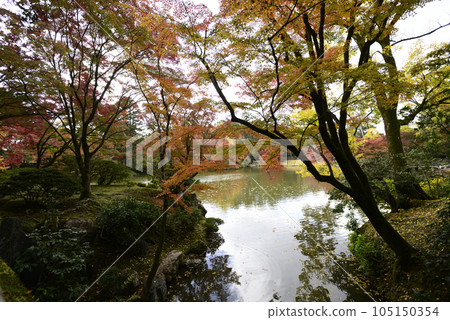 Kyoto Sento Imperial Palace North Pond Nyoin Imperial Palace Autumn Leaves Kyoto Sento Imperial Palace North Pond Nyoin Imperial Palace Autumn Leaves 105150354