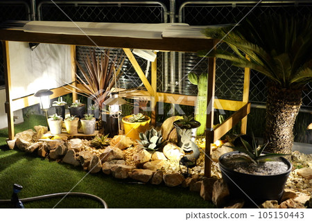 美國房屋乾燥花園 美國房屋乾燥花園 105150443