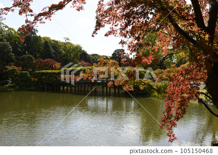 京都 仙洞御所 南池八橋 京都 仙洞御所 南池八橋 105150468