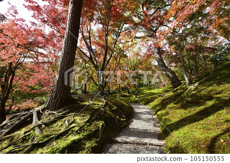 京都仙洞皇宮紅葉山 105150555