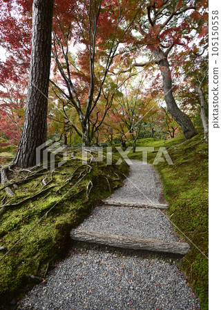 京都仙洞皇宮紅葉山 105150558