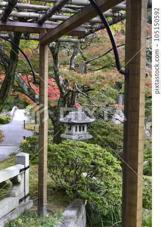 京都仙都御所南池秋葉 京都仙都御所南池秋葉 105150592