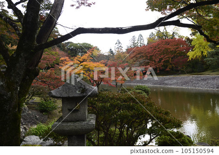 Kyoto Sento Imperial Palace Minamiike Autumn Leaves 105150594