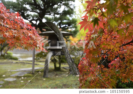 Kyoto Sento Imperial Palace Minamiike Autumn Leaves Kyoto Sento Imperial Palace Minamiike Autumn Leaves 105150595