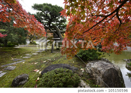 京都仙都御所南池秋葉 京都仙都御所南池秋葉 105150596