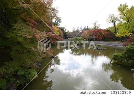 京都仙都御所南池秋葉 105150599