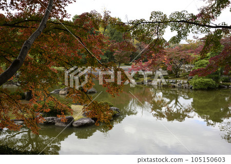 京都仙都御所南池秋葉 京都仙都御所南池秋葉 105150603