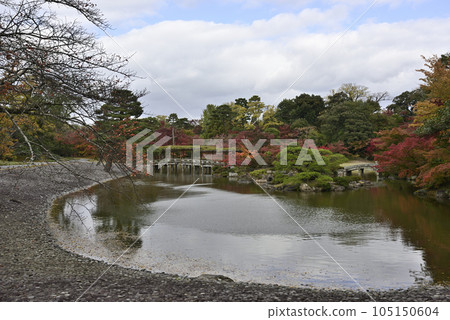 京都仙都御所南池秋葉 京都仙都御所南池秋葉 105150604