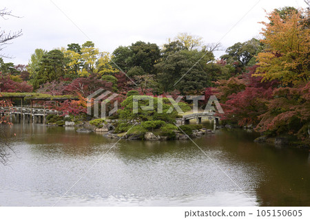 京都仙都御所南池秋葉 105150605
