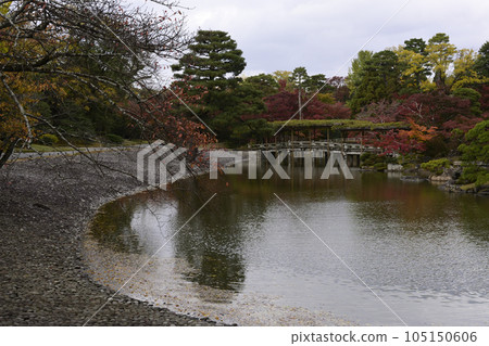 Kyoto Sento Imperial Palace Minamiike Autumn Leaves Kyoto Sento Imperial Palace Minamiike Autumn Leaves 105150606
