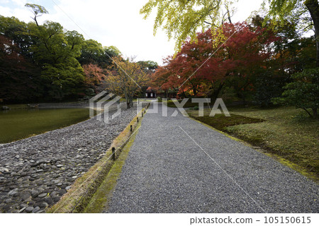 京都仙都御所南池秋葉 京都仙都御所南池秋葉 105150615