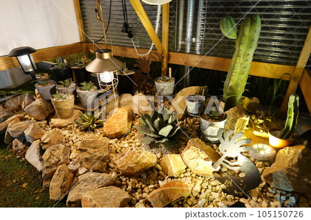 Agave Seedlings ~Dry Garden~ Agave Seedlings ~Dry Garden~ 105150726