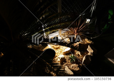 美國房屋乾燥花園 美國房屋乾燥花園 105150736