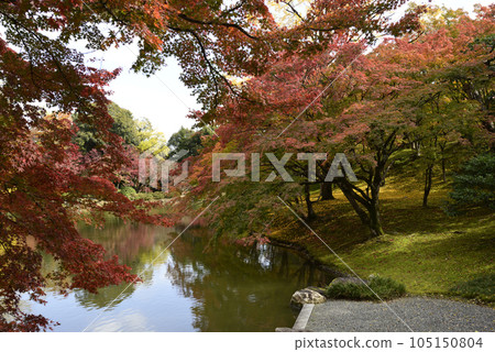 京都仙洞皇宮 北池的秋葉 105150804