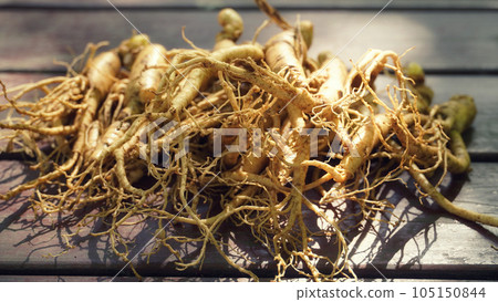 some ginsengs on the woodfloor. 105150844
