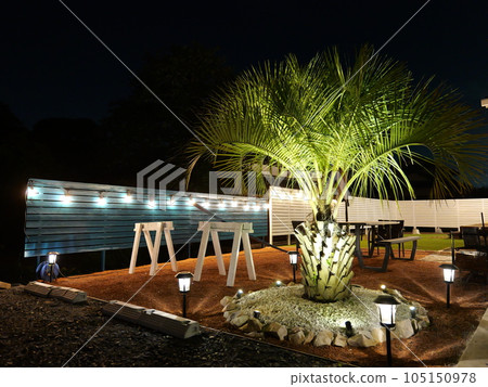 美國家庭花園 美國家庭花園 105150978