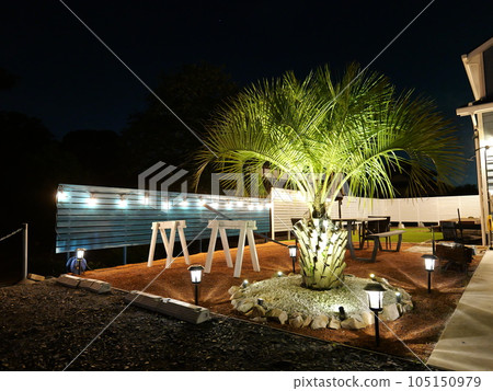 美國家庭花園 105150979