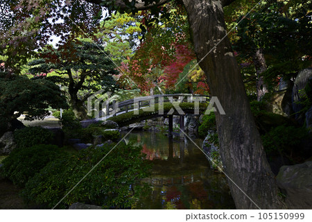 京都御所內花園的秋葉 105150999