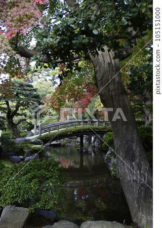 京都御所內花園的秋葉 105151000