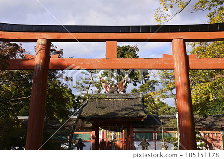 Autumn leaves at Omotogu Shrine, a subsidiary shrine of Yoshida Shrine 105151178