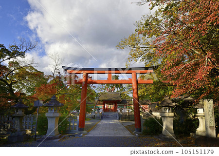 Autumn leaves at Omotogu Shrine, a subsidiary shrine of Yoshida Shrine 105151179