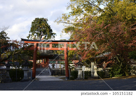 Autumn leaves at Omotogu Shrine, a subsidiary shrine of Yoshida Shrine 105151182