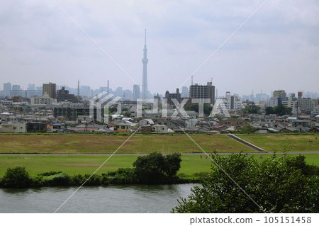 從河野台城遺址眺望江戶川與隔江相望的東京街景【里美公園】千葉縣市川市 從河野台城遺址眺望江戶川與隔江相望的東京街景【里美公園】千葉縣市川市 105151458