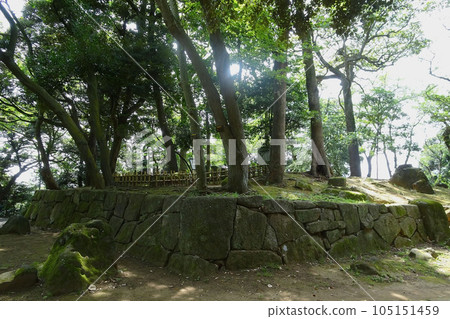 A hill with night crying stones and a memorial tower for Satomi military officers [Satomi Park/Konodai Castle Ruins] Ichikawa City, Chiba Prefecture 105151459