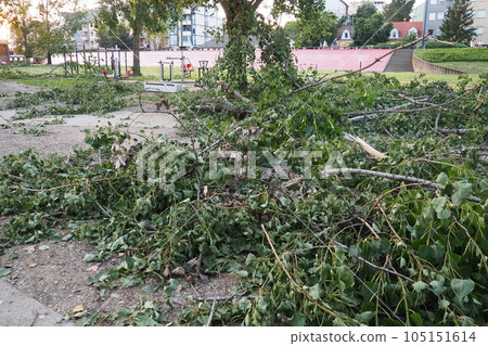 Aftermath of the hurricane July 19, 2023 beach Sremska Mitrovica, Serbia. Broken trees, mess on the streets. Broken branches, bent trunk. Chips and trash. State of emergency after a catastrophic storm Aftermath of the hurricane July 19, 2023 beach Sremska Mitrovica, Serbia. Broken trees, mess on the streets. Broken branches, bent trunk. Chips and trash. State of emergency after a catastrophic storm 105151614
